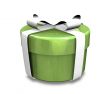 wrapped white and green gift - 3D made