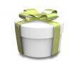 wrapped white and green gift - 3D made