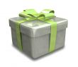 wrapped white and green gift - 3D made