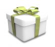 wrapped white and green gift - 3D made