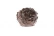 chocolate confectionery on white
