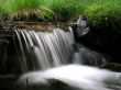 Mountain Stream