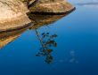 reflection