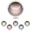 iris button collection