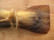 A hot smoked fish