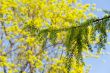 Spring colors