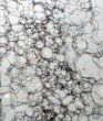 Bubbles of soap