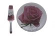 plate with shovel