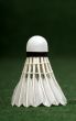 White badminton