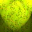 Green picture with lines