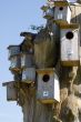 Nesting box