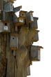 Nesting box