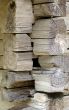 Composition of wood
