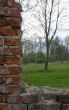 Old wall