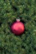 Christmas toy