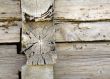 Composition of wood