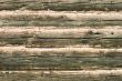 Composition of wood