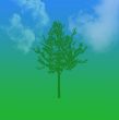 Green tree