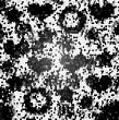 White and black ornament
