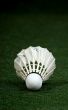 White badminton