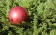 Christmas toy