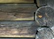 Composition of wood