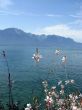 Lake Geneva.