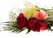 Bouquet of roses