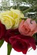 Bouquet of roses