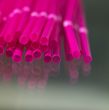 pink straw