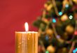 Candle, christmas tree, red background
