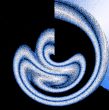 Spined blue line