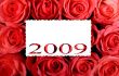 Year 2009