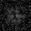 black picture