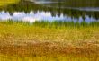 wood lake