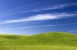 Green Meadow