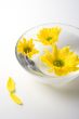 yellow flowers