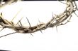 Crown of Thorns