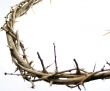 Crown of Thorns