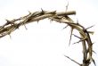 Crown of Thorns