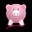 pink piggy bank