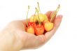 Cherries in hand