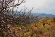 Spring in the Cypriot mountains