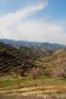 Spring in the Cypriot mountains