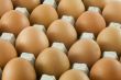 Many fresh rural eggs packed in cardboard container