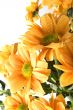 boquet of orange flowers