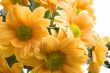 boquet