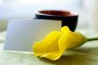 a cup of coffee and a calla