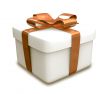 wrapped brown gift - 3D made