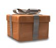 wrapped brown gift - 3D made